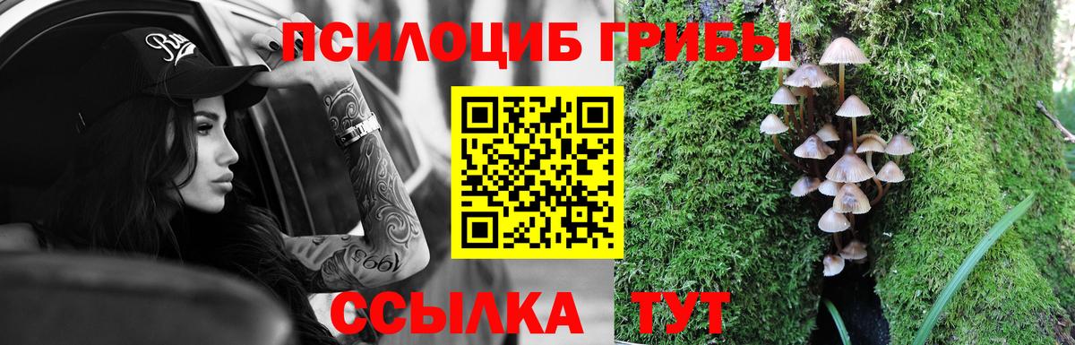 Костомукша  Псилоцибиновые грибы мицелий  Вход с VPN 