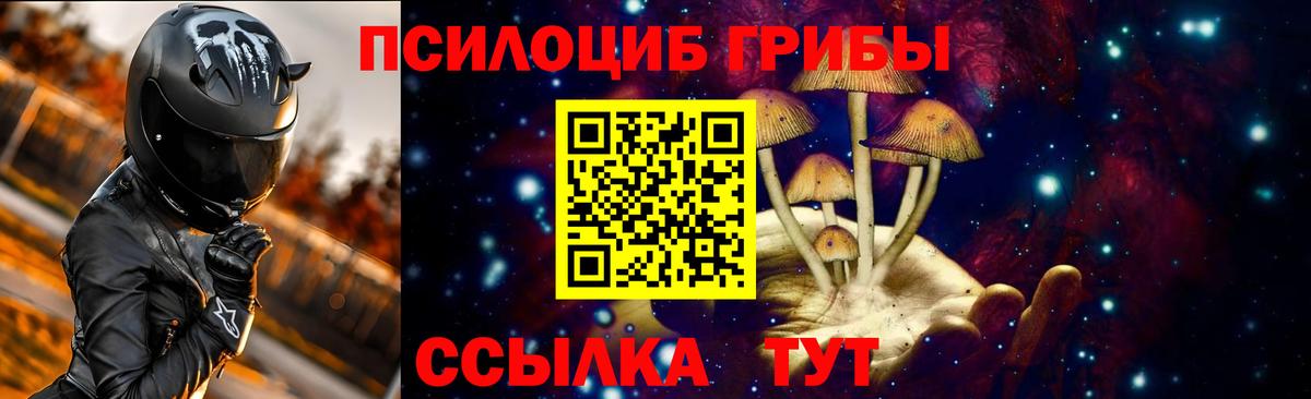 Галлюциногенные грибы Psilocybine cubensis Костомукша